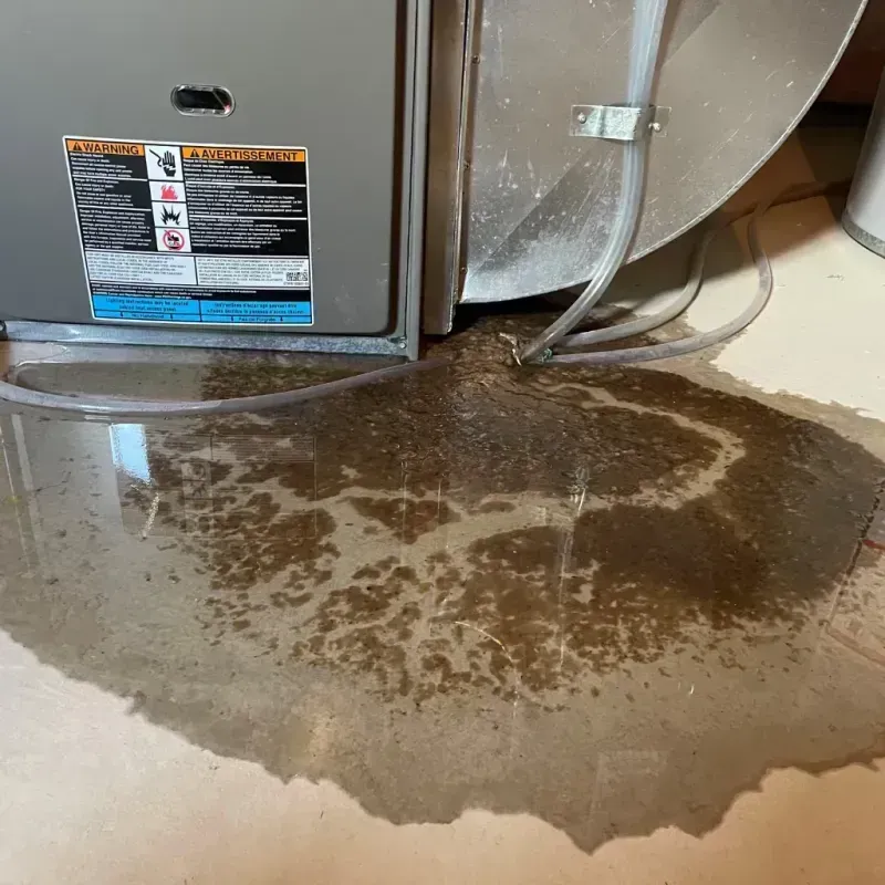 Appliance Leak Cleanup in Columbia County, WI